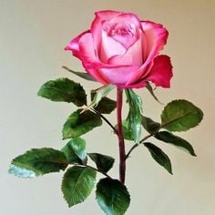 Green Gum Paste 300g for Flowers. Decorina VIP