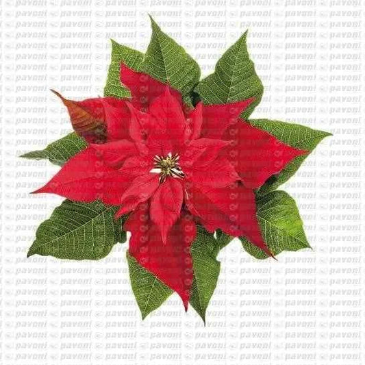 Flowers, Birds, and Branches. Silicone mold with 15 decorative motifs.