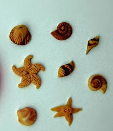 Conchiglie, Paguri e Stelle Marine. Stampo in silicone. Mare