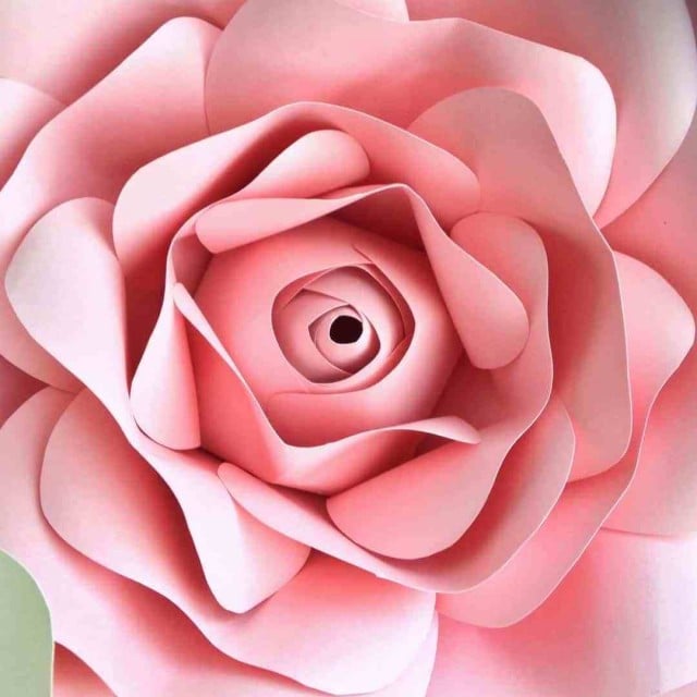 Pink Gum Paste 300g for Flowers. Decorina VIP