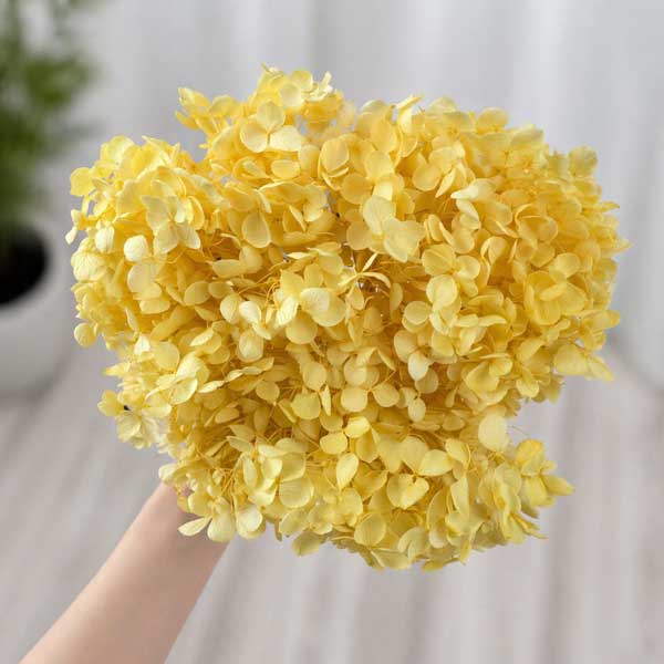 Palm Wax for Candles in Molds and Containers. 1kg