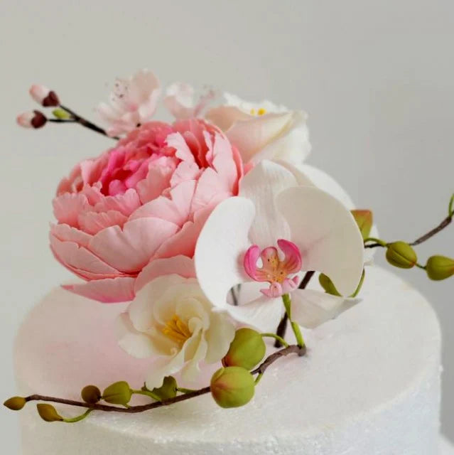 GUM PASTE PER FIORI E MODELLING | PASTA PROFESSIONALE PER CAKE DESIGN.