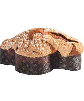 COLOMBA ALBICOCCA E CIOCCOLATO - 1000g