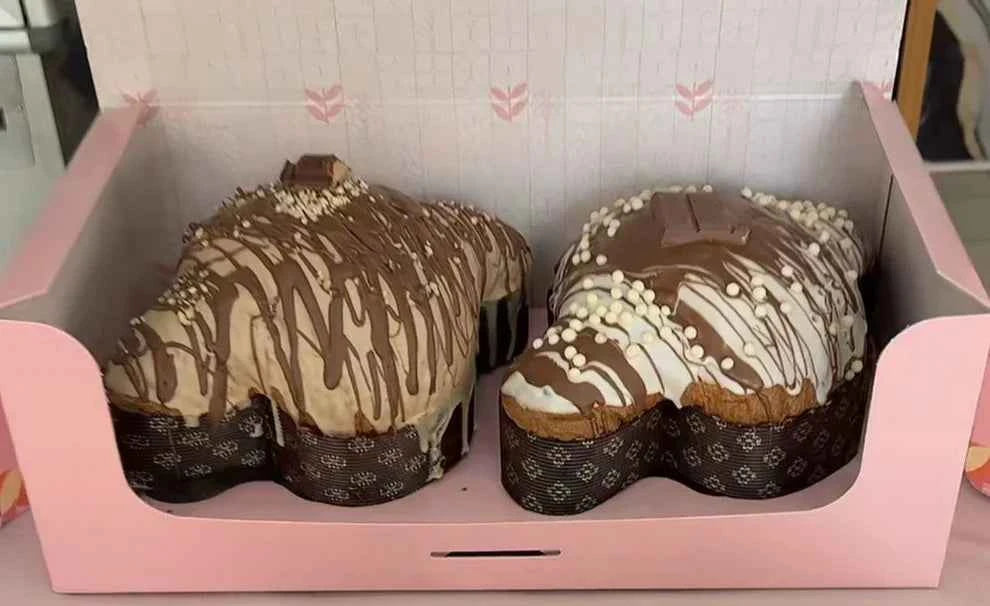 Box colombine 🕊️