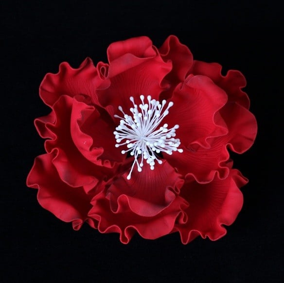 Red Gum Paste 300g for Flowers. Decorina VIP