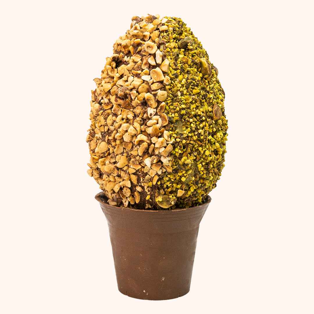 NoccioPistacchio      500 GRAMMI