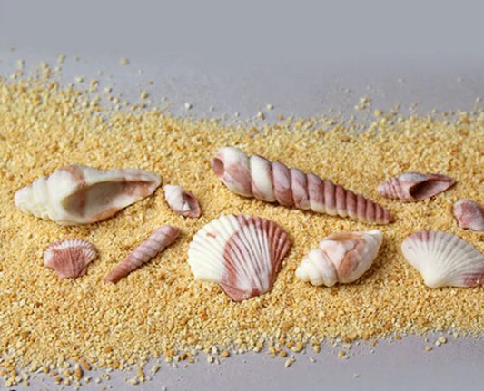 10 Conchiglie di Mare. Stampo in Silicone