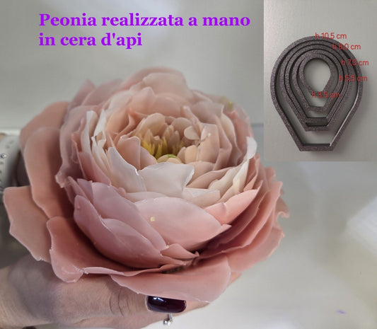 Peonia in Cera d'Api realizzata a mano. Set di 5 Stampi Cutter - WORLD PRODUCTS SHOP