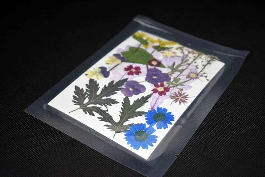 Fiori multicolor pressati per gioielli e decorazioni per la resina