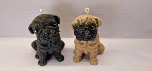 cane Carlino. Candela naturale al 100% in molti colori. WORLD PRODUCTS SHOP.