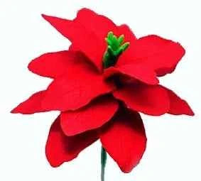 Stella di Natale. Poinsettia. 10 Stampi. JEM