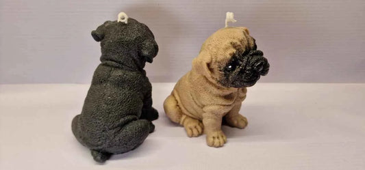 cane Carlino. Candela naturale al 100% in molti colori. WORLD PRODUCTS SHOP.