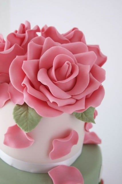 Pink Gum Paste 300g for Flowers. Decorina VIP