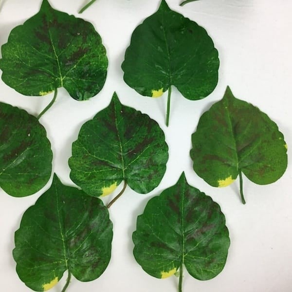 Green Gum Paste 300g for Flowers. Decorina VIP