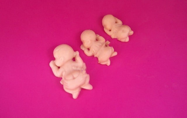 3 Newborns of various sizes