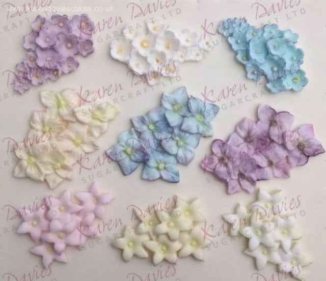 Fantastico Stampo in silicone di 4 Fiori.Originale Karen Davies.