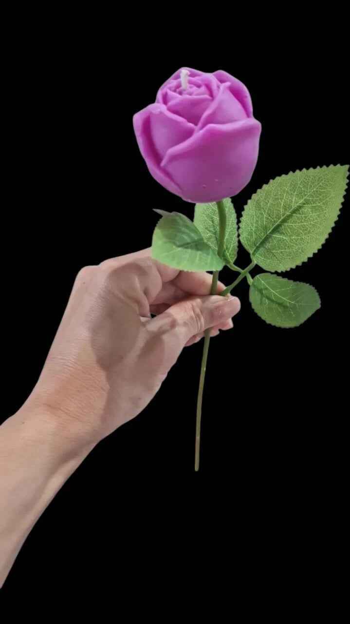 Coloranti Booster simil Bekro. Concentrato per Candele. Kaiser