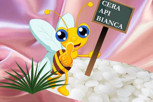Pura Cera d’Api BIANCA per modellare e per Candele