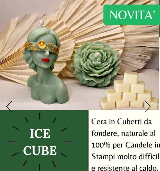 Ice Cube. Cera Naturale per Stampi difficili e resistente al Caldo - WORLD PRODUCTS SHOP