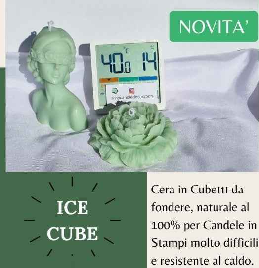 Ice Cube. Cera Naturale per Stampi difficili e resistente al Caldo